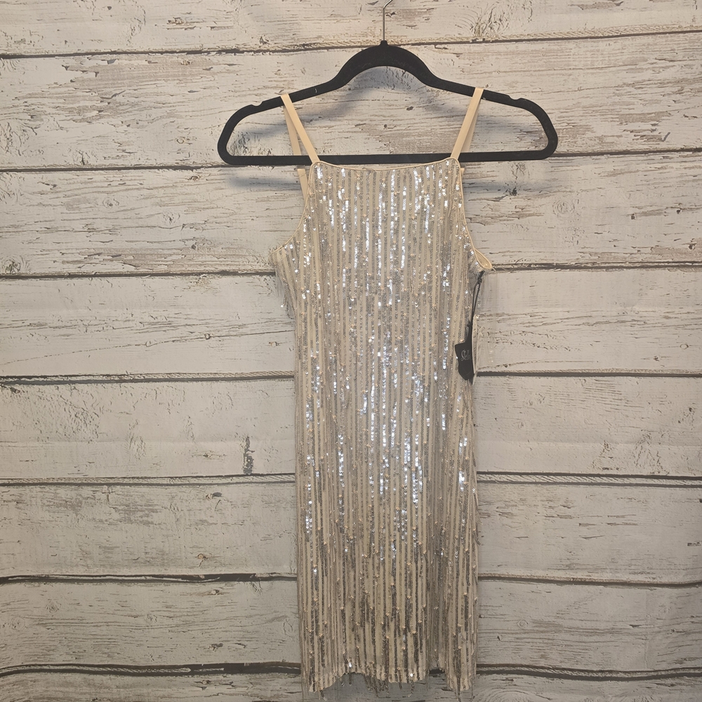 Nordstrom Shimmering Silver and Cream Dress